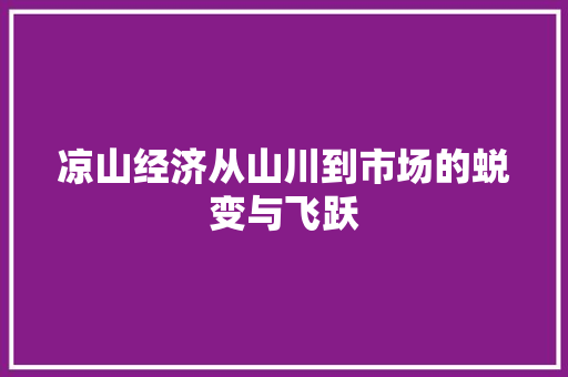 凉山经济从山川到市场的蜕变与飞跃 凉山经济从山川到市场的蜕变与飞跃