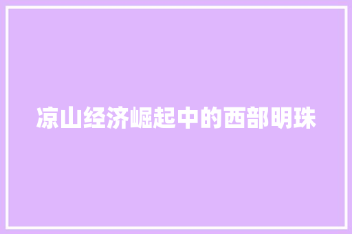 凉山经济崛起中的西部明珠 凉山经济崛起中的西部明珠