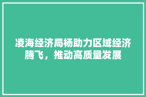 凌海经济局杨助力区域经济腾飞,推动高质量发展 凌海经济局杨助力区域经济腾飞,推动高质量发展