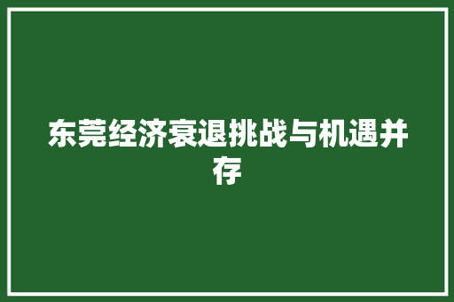 东莞经济衰退挑战与机遇并存 东莞经济衰退挑战与机遇并存