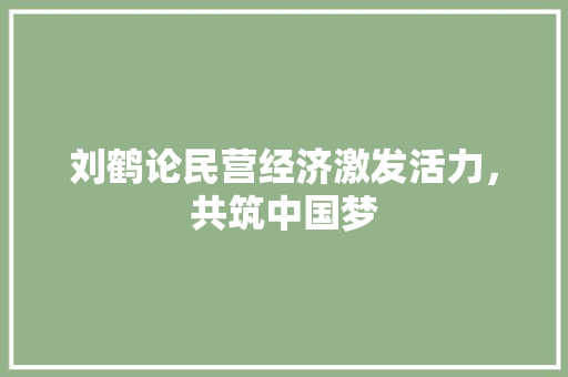 刘鹤论民营经济激发活力,共筑中国梦 刘鹤论民营经济激发活力,共筑中国梦