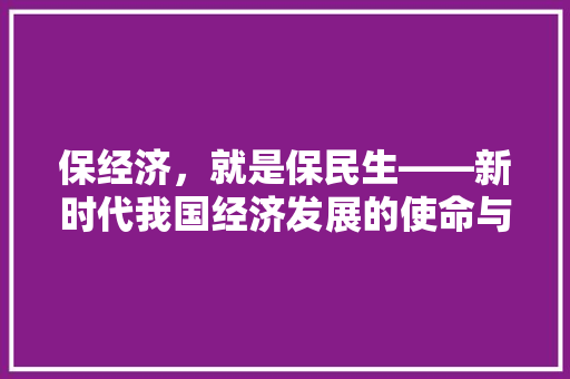 保经济,就是保民生——新时代我国经济发展的使命与担当 保经济,就是保民生——新时代我国经济发展的使命与担当