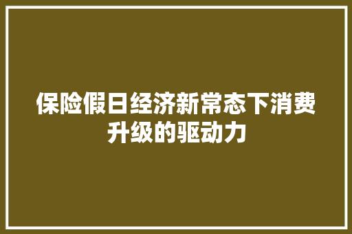 保险假日经济新常态下消费升级的驱动力 保险假日经济新常态下消费升级的驱动力