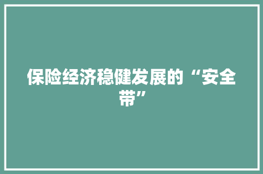 保险经济稳健发展的“安全带”