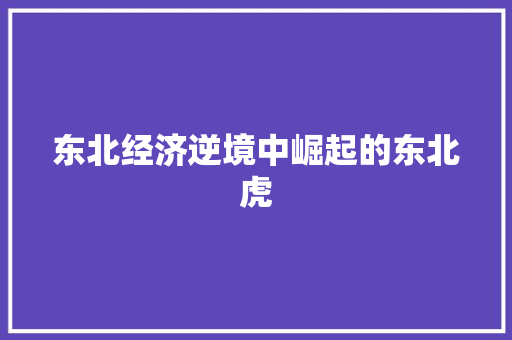 东北经济逆境中崛起的东北虎 东北经济逆境中崛起的东北虎