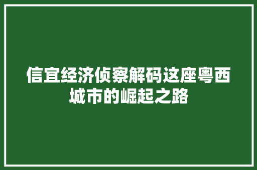 信宜经济侦察解码这座粤西城市的崛起之路 信宜经济侦察解码这座粤西城市的崛起之路