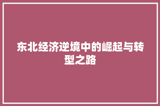 东北经济逆境中的崛起与转型之路 东北经济逆境中的崛起与转型之路