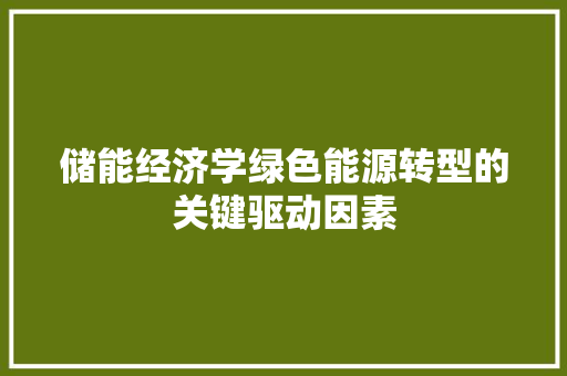 储能经济学绿色能源转型的关键驱动因素 储能经济学绿色能源转型的关键驱动因素