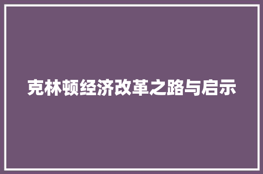 克林顿经济改革之路与启示 克林顿经济改革之路与启示