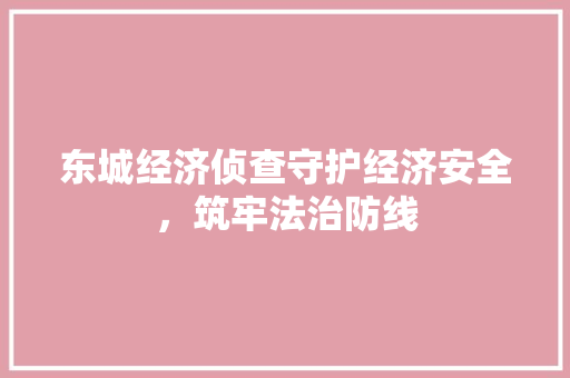 东城经济侦查守护经济安全,筑牢法治防线 东城经济侦查守护经济安全,筑牢法治防线