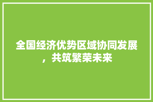 全国经济优势区域协同发展,共筑繁荣未来 全国经济优势区域协同发展,共筑繁荣未来