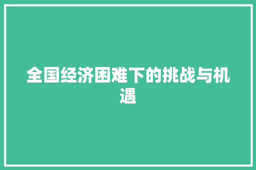 全国经济困难下的挑战与机遇 全国经济困难下的挑战与机遇