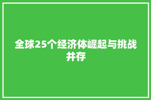 全球25个经济体崛起与挑战并存 全球25个经济体崛起与挑战并存