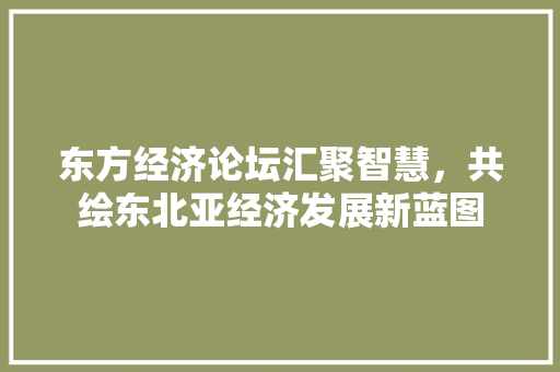 东方经济论坛汇聚智慧,共绘东北亚经济发展新蓝图 东方经济论坛汇聚智慧,共绘东北亚经济发展新蓝图