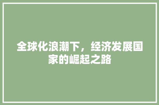 全球化浪潮下,经济发展国家的崛起之路 全球化浪潮下,经济发展国家的崛起之路