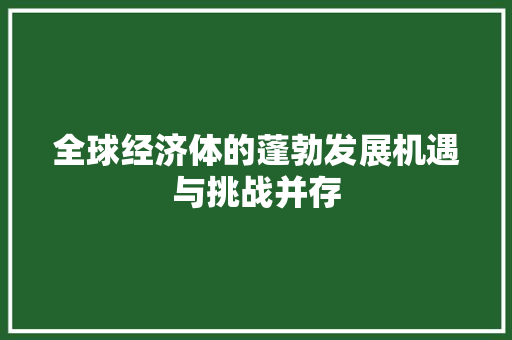 全球经济体的蓬勃发展机遇与挑战并存 全球经济体的蓬勃发展机遇与挑战并存