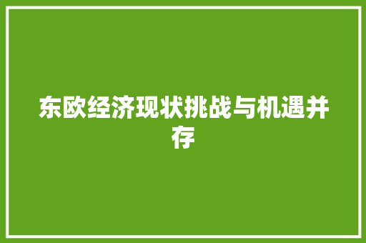 东欧经济现状挑战与机遇并存 东欧经济现状挑战与机遇并存