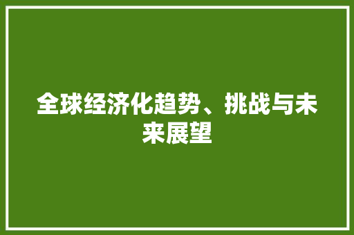 全球经济化趋势、挑战与未来展望 全球经济化趋势、挑战与未来展望