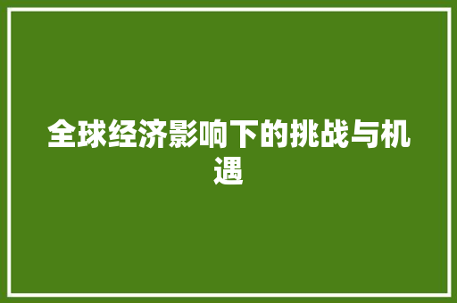 全球经济影响下的挑战与机遇 全球经济影响下的挑战与机遇