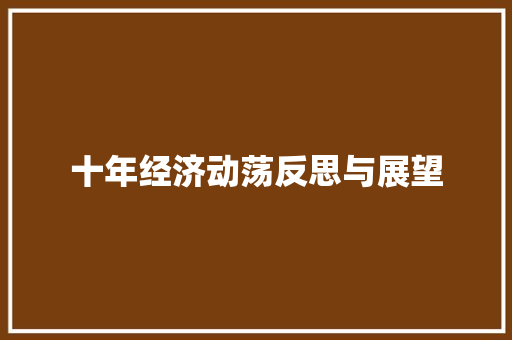十年经济动荡反思与展望 十年经济动荡反思与展望