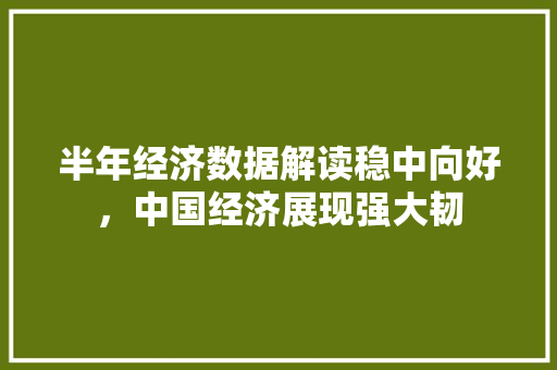 半年经济数据解读稳中向好,中国经济展现强大韧 半年经济数据解读稳中向好,中国经济展现强大韧