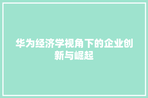 华为经济学视角下的企业创新与崛起 华为经济学视角下的企业创新与崛起