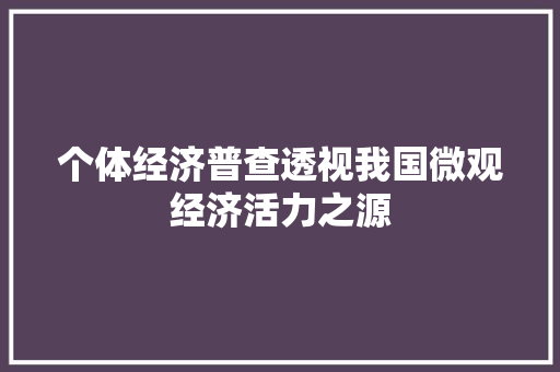 个体经济普查透视我国微观经济活力之源 个体经济普查透视我国微观经济活力之源