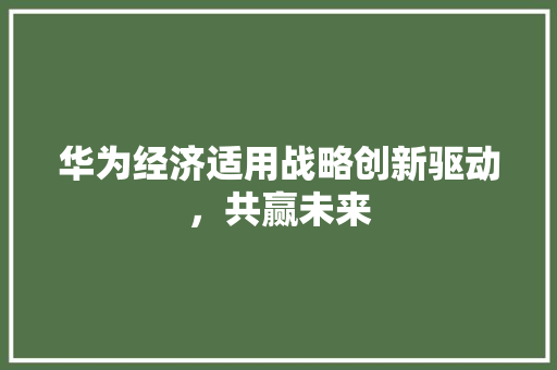 华为经济适用战略创新驱动,共赢未来 华为经济适用战略创新驱动,共赢未来