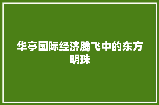 华亭国际经济腾飞中的东方明珠 华亭国际经济腾飞中的东方明珠