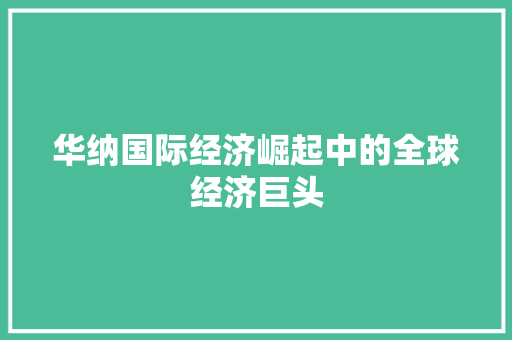 华纳国际经济崛起中的全球经济巨头 华纳国际经济崛起中的全球经济巨头