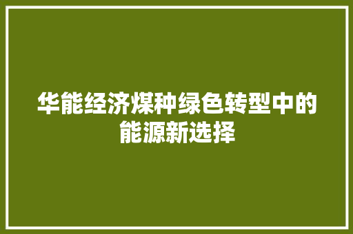 华能经济煤种绿色转型中的能源新选择 华能经济煤种绿色转型中的能源新选择