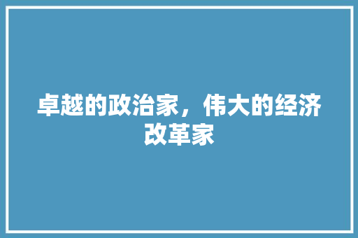 卓越的政治家,伟大的经济改革家 卓越的政治家,伟大的经济改革家