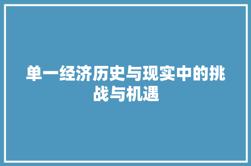 单一经济历史与现实中的挑战与机遇