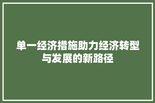 单一经济措施助力经济转型与发展的新路径 单一经济措施助力经济转型与发展的新路径