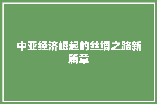 中亚经济崛起的丝绸之路新篇章 中亚经济崛起的丝绸之路新篇章