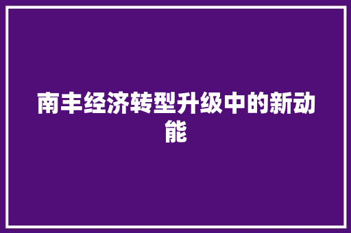 南丰经济转型升级中的新动能 南丰经济转型升级中的新动能