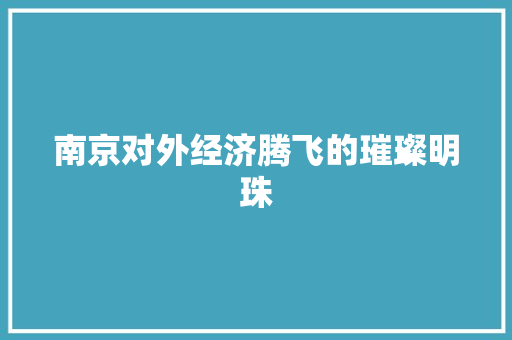 南京对外经济腾飞的璀璨明珠 南京对外经济腾飞的璀璨明珠