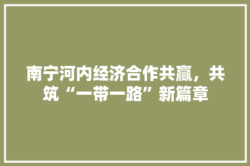 南宁河内经济合作共赢,共筑“一带一路”新篇章 南宁河内经济合作共赢,共筑“一带一路”新篇章