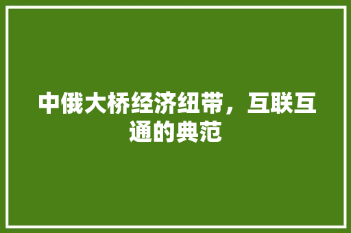 中俄大桥经济纽带,互联互通的典范 中俄大桥经济纽带,互联互通的典范
