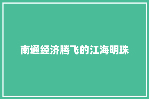 南通经济腾飞的江海明珠 南通经济腾飞的江海明珠
