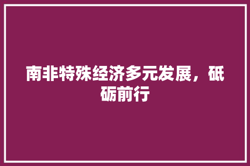 南非特殊经济多元发展，砥砺前行