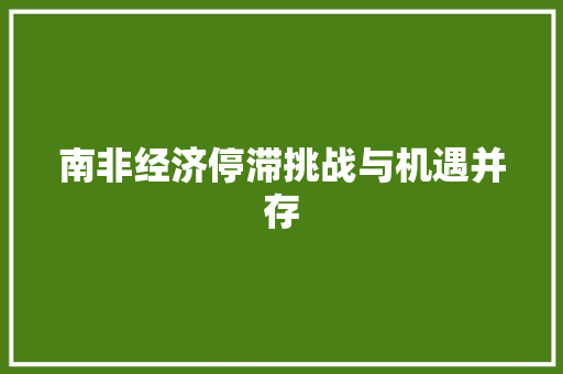 南非经济停滞挑战与机遇并存 南非经济停滞挑战与机遇并存