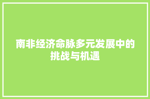 南非经济命脉多元发展中的挑战与机遇 南非经济命脉多元发展中的挑战与机遇