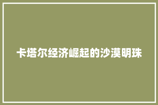 卡塔尔经济崛起的沙漠明珠 卡塔尔经济崛起的沙漠明珠