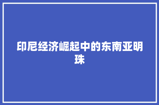 印尼经济崛起中的东南亚明珠 印尼经济崛起中的东南亚明珠