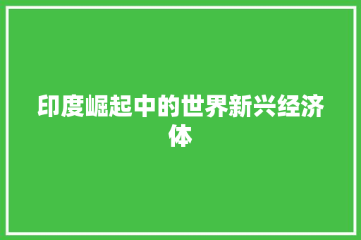 印度崛起中的世界新兴经济体 印度崛起中的世界新兴经济体