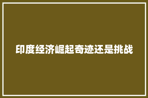 印度经济崛起奇迹还是挑战 印度经济崛起奇迹还是挑战
