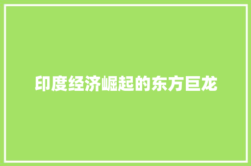 印度经济崛起的东方巨龙 印度经济崛起的东方巨龙