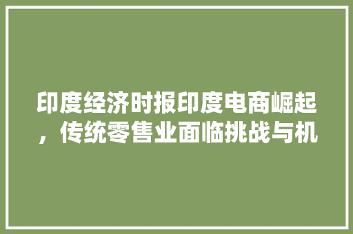 印度经济时报印度电商崛起,传统零售业面临挑战与机遇 印度经济时报印度电商崛起,传统零售业面临挑战与机遇