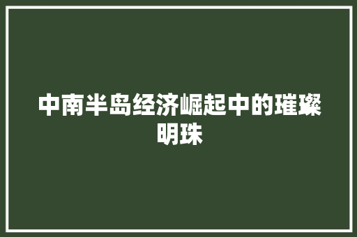 中南半岛经济崛起中的璀璨明珠 中南半岛经济崛起中的璀璨明珠